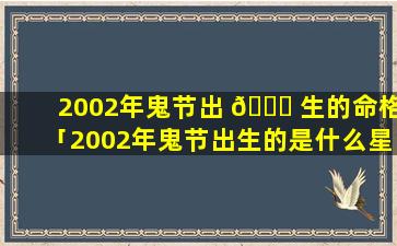 2002年鬼节出 🐝 生的命格「2002年鬼节出生的是什么星座」